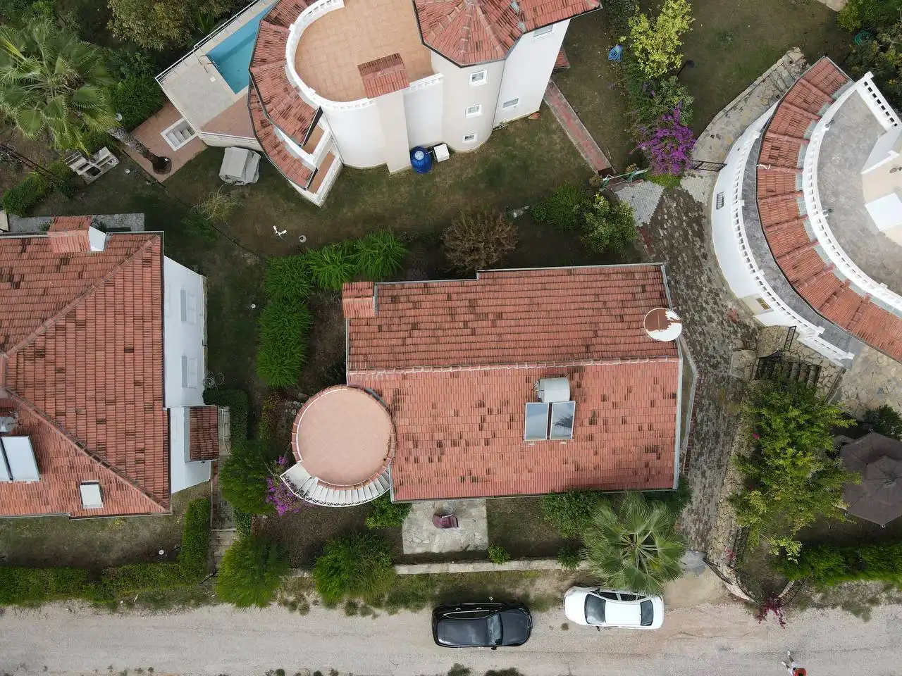 Изображение Уютная вилла окружённая оливковой рощей